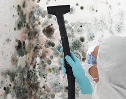 Biohazard Mold Removal in Harleigh, PA